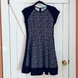 Fit and Flare Pleated Skirt Black and White Mini Skater Dress Sun Dress